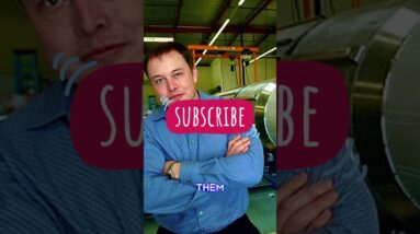 Was Elon Musk an illegal immigrant? #elonmusk #musk #tesla #USA #immigration #law #illegal