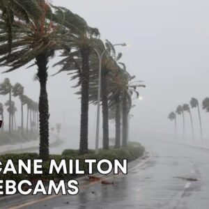 Live Hurricane Milton 2024 Live Stream - Ao Vivo Furacão Milton Florida- Live Webcams