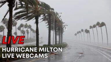 Live Hurricane Milton 2024 Live Stream - Ao Vivo Furacão Milton Florida- Live Webcams